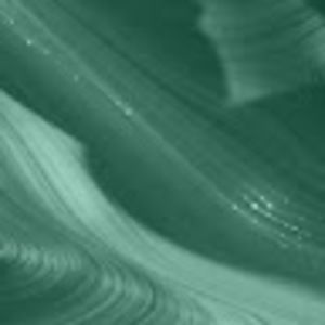 Meet your Posher, Frank